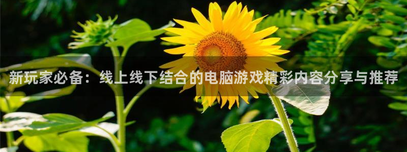 奇亿娱乐网页版地址：新玩家必备：线上线下结合的电脑游戏精彩内