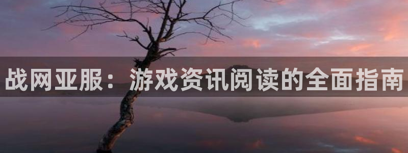 奇亿娱乐怎么注册：战网亚服：游戏资讯阅读的全面指南