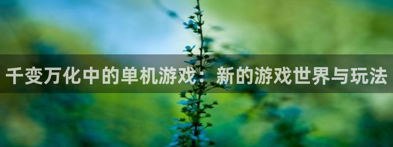 奇亿娱乐是什么：千变万化中的单机游戏：新的游戏世界与玩法