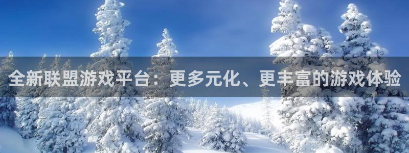 奇亿娱乐手机网页版登录：全新联盟游戏平台：更多元化、更丰富的