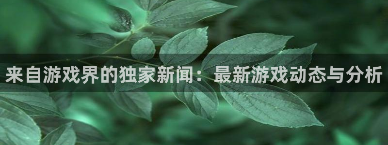 奇亿娱乐平台注册开户：来自游戏界的独家新闻：最新游戏动态与分