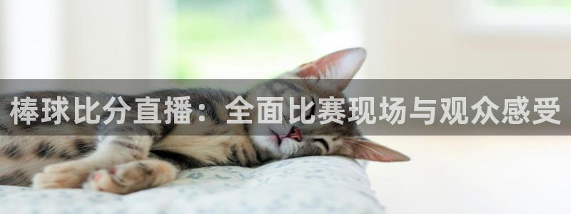 9255tv直播nba在线直播：棒球比分直播：全面比赛现场与观众感受