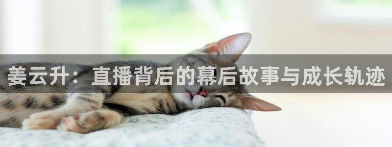 9255tv直播nba在线直播