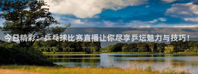 9255tv直播nba在线观看：今日精彩：乒乓球比赛直播让你尽享乒坛魅力与技巧！