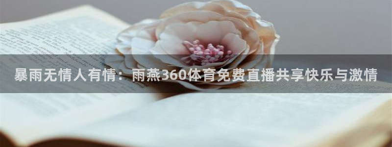 9255tv直播nba在线直播：暴雨无情人有情：雨燕360体育免费直播共享快乐与激情