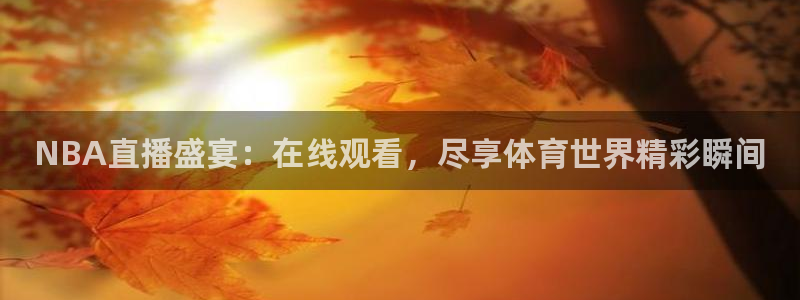 9255tv直播无插件nba：NBA直播盛宴：在线观看，尽享体育世界精彩瞬间