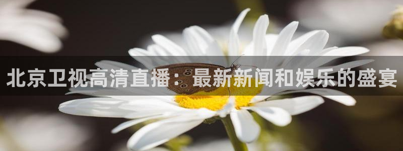 9255tv直播nba在线观看：北京卫视高清直播：最新新闻和娱乐的盛宴